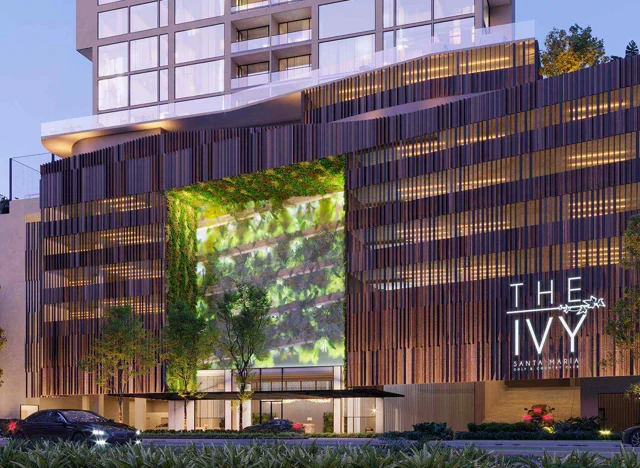 The Ivy, imagen del proyecto
